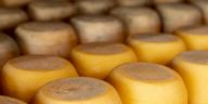 Cheese being stored in a bank