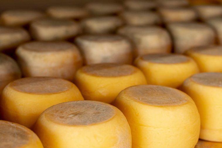 Cheese being stored in a bank