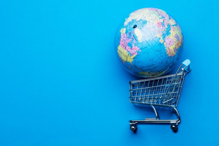 globe in a shopping cart
