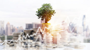 tree growing on top of a stack of coins