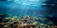 underwater coral reef