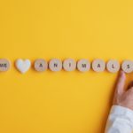 we love animals written on wooden blocks with a yellow background