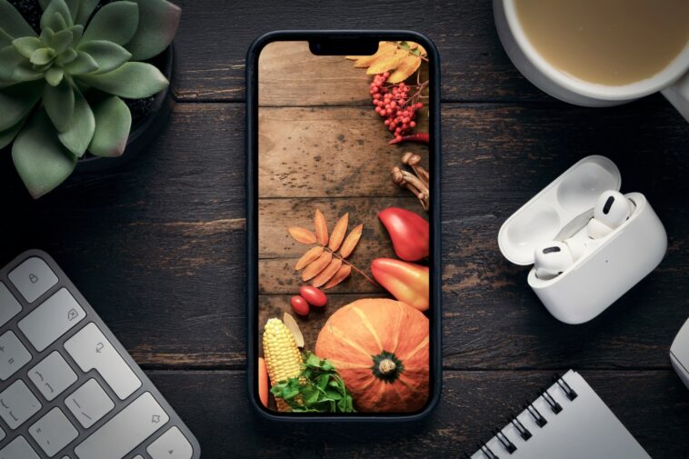 iphone with autumn crop screensaver